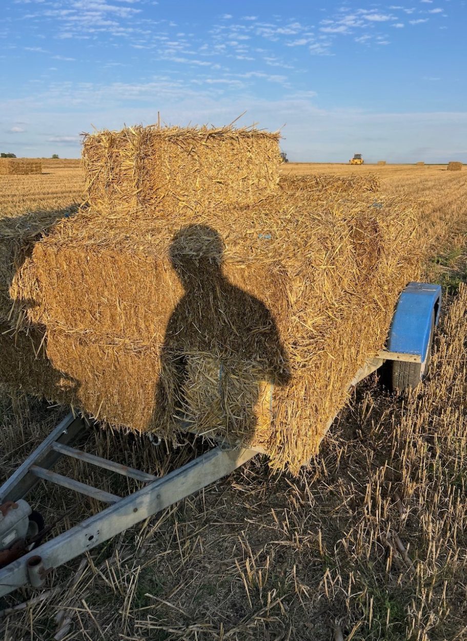 ballot de paille melange poule pondeuse